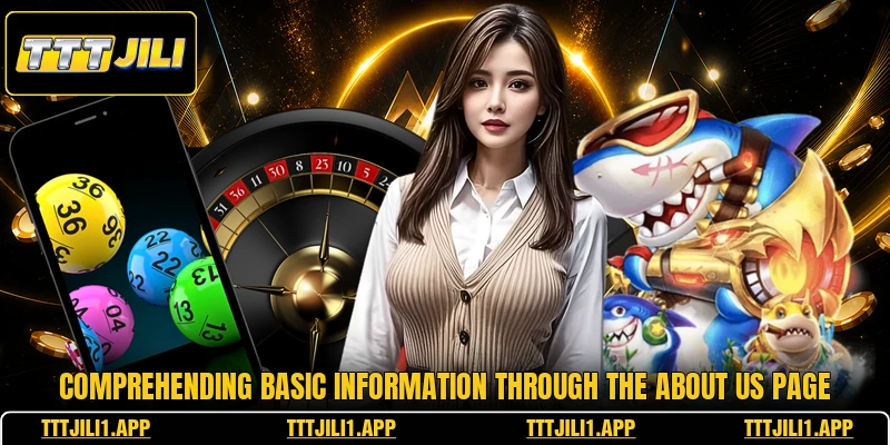 Comprehending basic information through the about us page