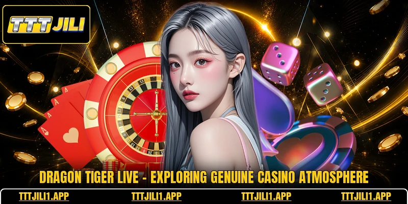 Dragon Tiger Live - Exploring Genuine Casino Atmosphere