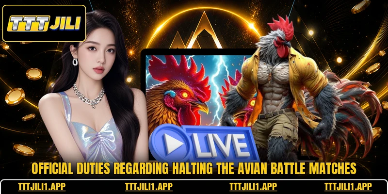 Official duties regarding halting the avian battle matches