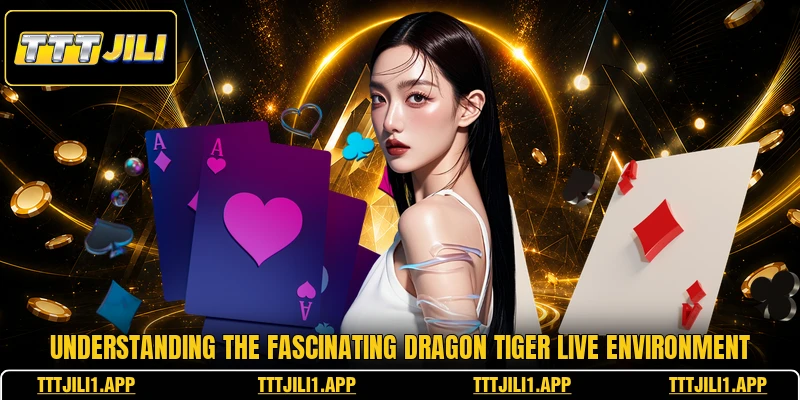 Understanding the fascinating dragon tiger live environment